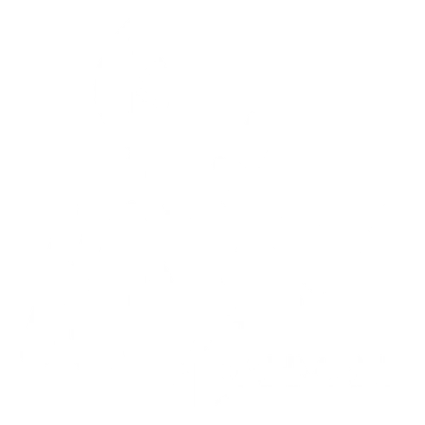 Kariz
